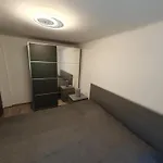 Apartmán Ledince *
