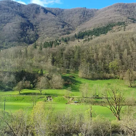 Ledince