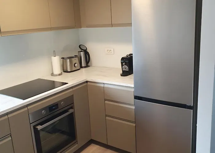 Ledince موست نا سوتشي